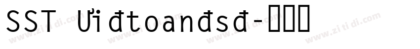 SST Vietnamese字体转换